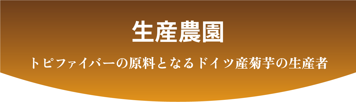 生産農園から。