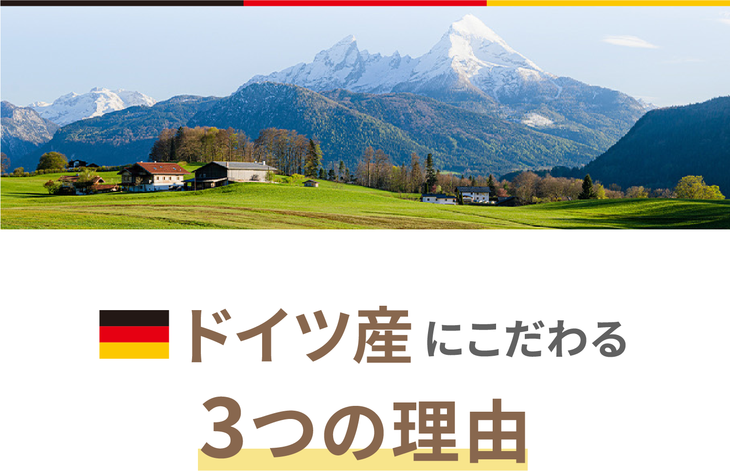 トピのチカラがドイツ産にこだわる３つの理由