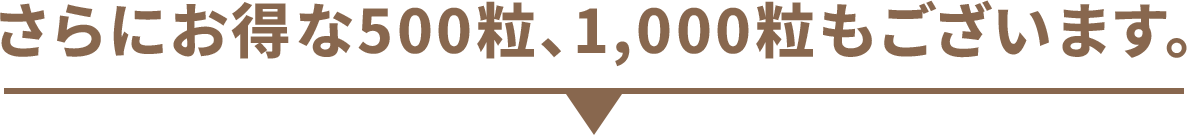 さらにお得な500粒、1,000粒もございます。