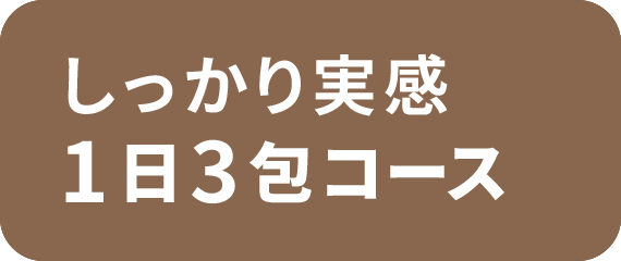 しっかり実感1日3包コース