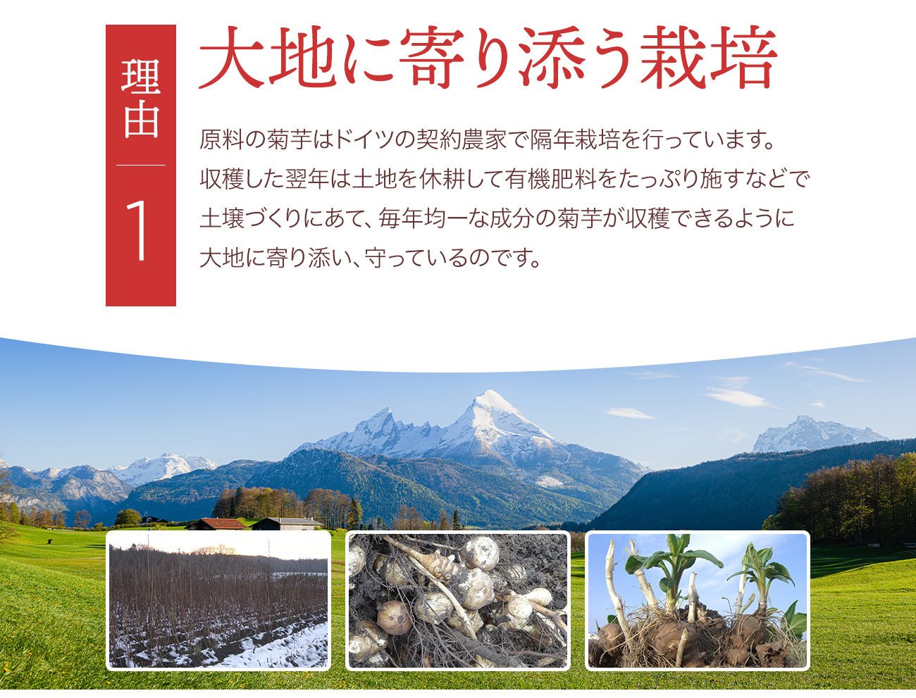 理由1 大地に寄り添う栽培