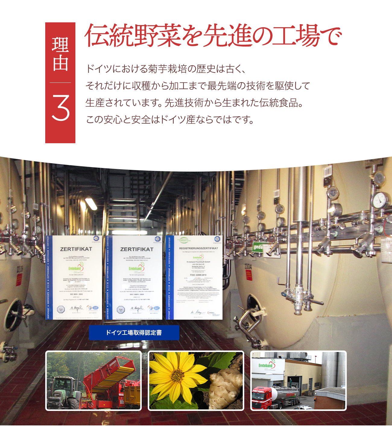 理由3 伝統野菜を先進の工場で