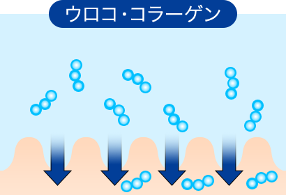 ウロコ・コラーゲン